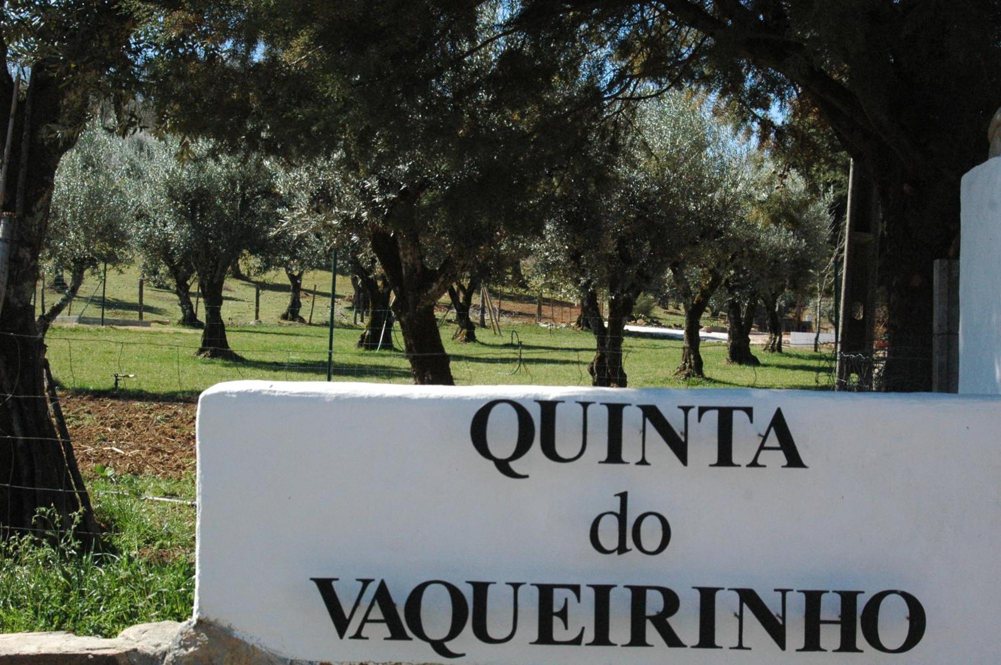 Quinta Do Vaqueirinho - Agro-Turismo Villa Marvão Buitenkant foto