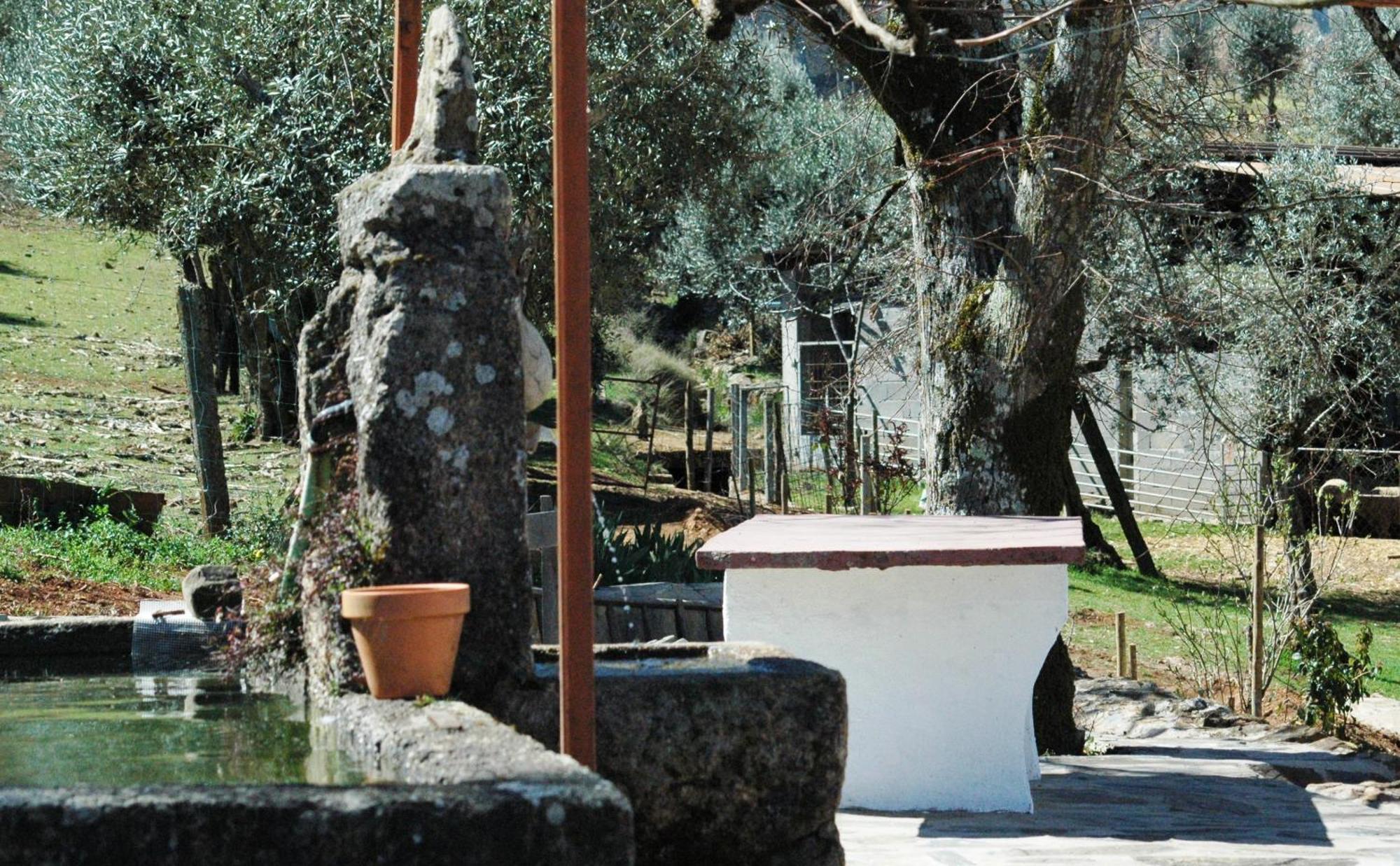 Quinta Do Vaqueirinho - Agro-Turismo Villa Marvão Buitenkant foto