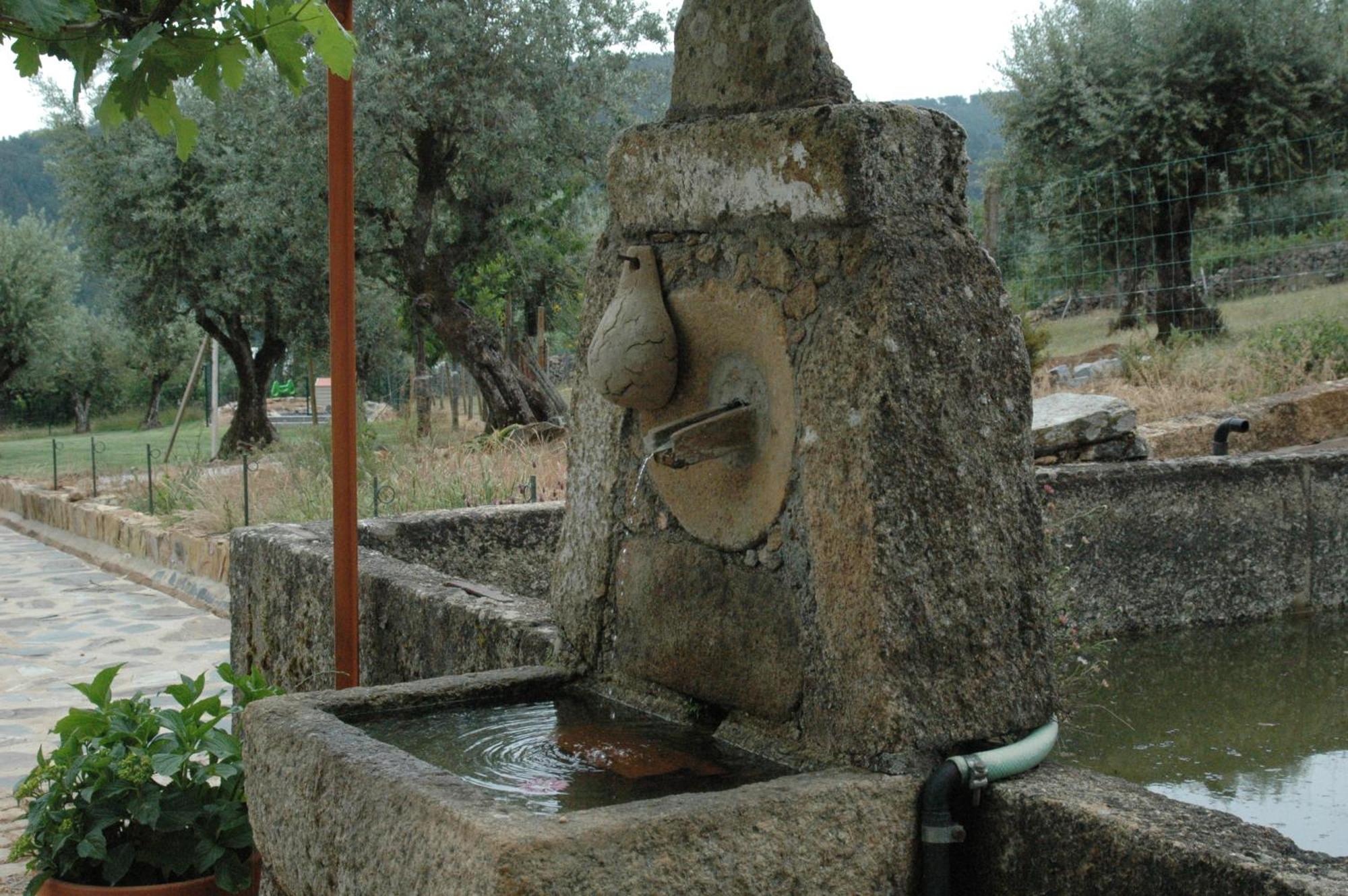 Quinta Do Vaqueirinho - Agro-Turismo Villa Marvão Buitenkant foto