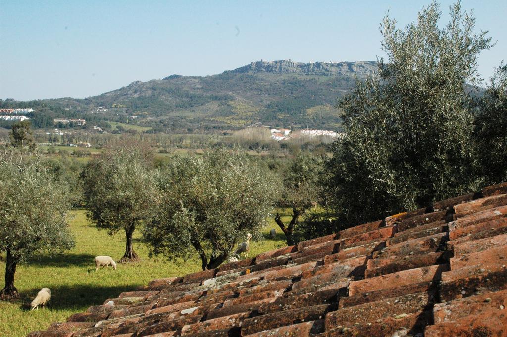 Quinta Do Vaqueirinho - Agro-Turismo Villa Marvão Kamer foto